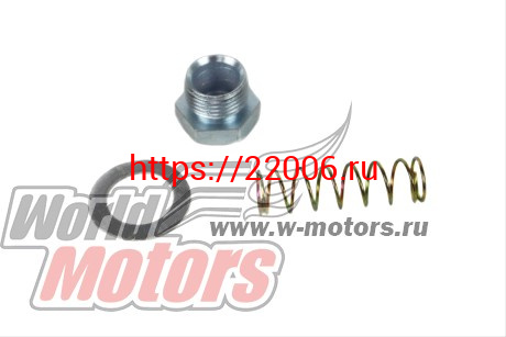 Винт карбюратора Вихрь в сборе (винт+прокладка+пружина) Винт карбюратора Вихрь в сборе (винт+прокладка+пружина)