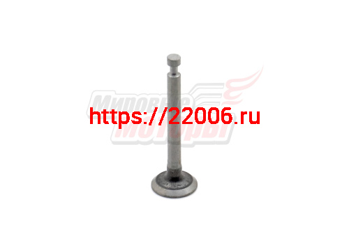 Клапан впускной мотокосы 4-х тактн. GBC-31F Клапан впускной мотокосы 4-х тактн. GBC-31F