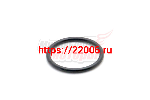 Кольцо уплотнительное 25x2.4 Alpha на проставку патрубка карб. Кольцо уплотнительное 25x2.4 Alpha на проставку патрубка карб.
