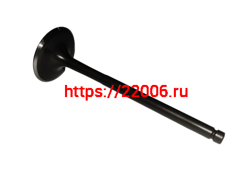 Клапан впускной NB300 ZS (174MN-5) (100159115) фото 2 Клапан впускной NB300 ZS (174MN-5) (100159115) фото 2