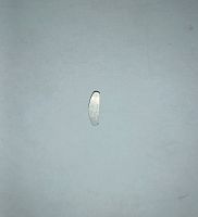 Шпонка коленчатого вала (12,3×4,4×4) ZS165FMM, ZS169FMM, ZS172FMM-3A