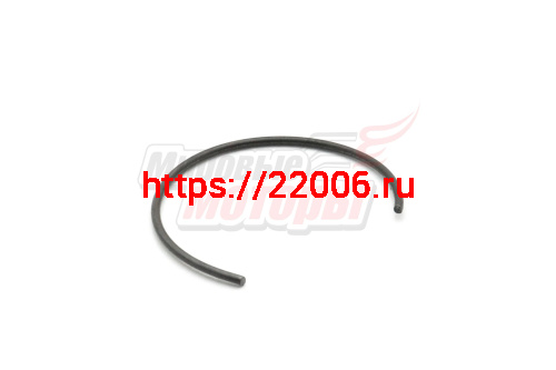 Кольцо Ветерок стопорное в стакан помпы (616318) Кольцо Ветерок стопорное в стакан помпы (616318)